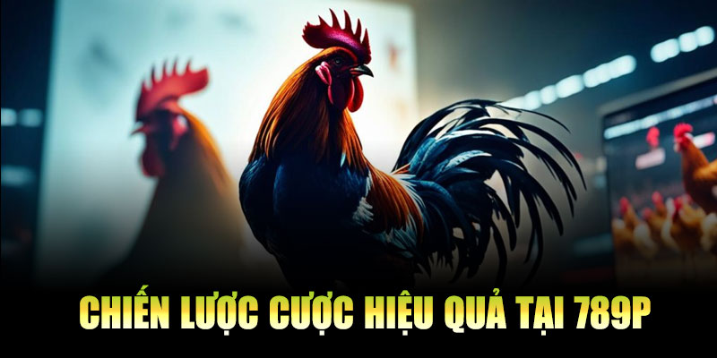 Chiến Lược Cược Hiệu Quả Trên Nền Tảng 789P