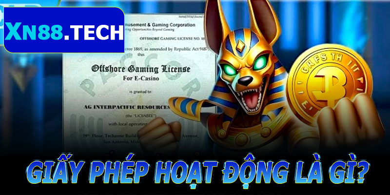 Khái niệm của giấy phép hoạt động 