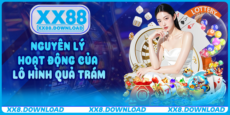 Nguyên lý hoạt động của lô hình quả trám